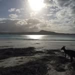 Eli Hurley - @elimhurley - Instagram
