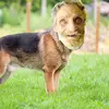 Eli Hutchison - @elihutchison - TikTok