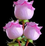 Eli Ignacio - Facebook