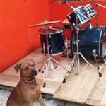 Eli Ignacio - @eli.ignacio.9 - Instagram