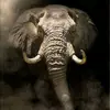 IVLAG _ - @eliignacio - TikTok