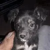 eli - @eliivess - TikTok
