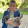 eriongupiveseli1 - @eriongupiveseli1 - TikTok