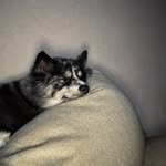 Eli_jansen69 - @eli_jansen698 - Instagram