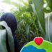 Elias Julio - Facebook