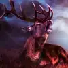 Elijah Keck222 - @cristiankeck09 - TikTok