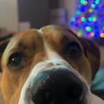 Eli Keener - Facebook