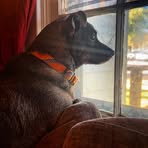 Eli Keener - Facebook