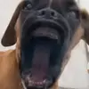 eli_kennedy8945 - @eli_kennedy8945 - TikTok