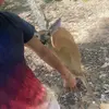 Eli Kerner - @eli_kerner06 - TikTok