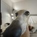 Eli Kersey - Facebook