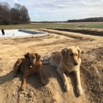Eli Kessler - @elikessler8 - Instagram