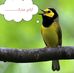 Eli Khan - Facebook