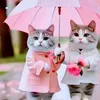 Eli Khan - @eli.khan1 - TikTok