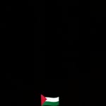 Eli Khoury - @eli.khoury.129 - Instagram