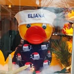 Eliana Kimball - @elianakimball - Instagram