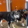 user1433015461206 - @eli.kimball - TikTok