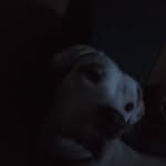 Eli Knapp - @eli.knapp.756 - Instagram