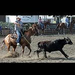 Eli Knapp - @eliknapp24 - Instagram