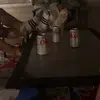 eli - @eli.koch2 - TikTok