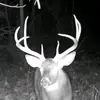 Eli - @elikorenkiewicz - TikTok