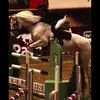Lærke - @laerke.elimann - TikTok