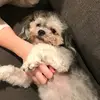 Eli_mayer - @eli_mayer - TikTok