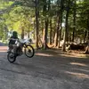 Eli Mayer - @eli.mayer3 - TikTok