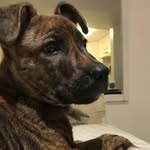 Eli Mayes - @mayes.eli - Instagram