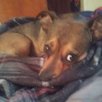 Eli Mccarty - Facebook