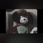 @eli.mcgee_ - Instagram