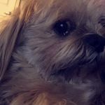 Eli McLaughlin - @elisgotgame - Instagram