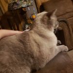 Eli Mcmullen - @elimcmullen484 - Instagram