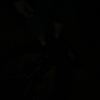 eli melton - @elidavismelton31 - TikTok
