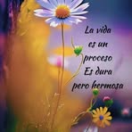 Elisabet Menchaca - Facebook