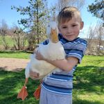 Eli Merrill - @elis_hobbyfarm - Instagram