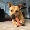 Elijah Metcalf - @elijah.metcalf0 - TikTok
