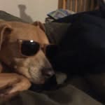 EliMetcalf - @elim757 - Instagram
