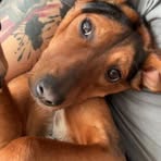 Eli Millard - Facebook