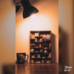 کتابخانه مینیاتوری الی مینی - @eliminiart - Instagram