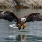 @senior_elimination25 - Instagram