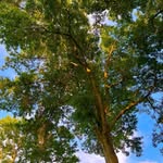Eli Minor - @eliminor5 - Instagram