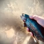 Eli minor - @eliminor6 - Instagram