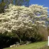 elizabethmodlin73 - @elizabethmodlin73 - TikTok