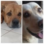 Eli Monzon - @monzonelita - Instagram
