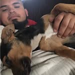 Eli Monzon - @brownburr_59 - Instagram