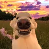 Eli Moody - @eli.moody3 - TikTok