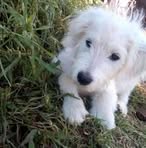 Eli Morales - Facebook