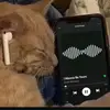 Eli - @eli.morrison5 - TikTok