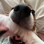 Eli Morrison - @paulsimon4615 - Instagram